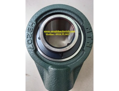 GỐI ĐỠ HB211